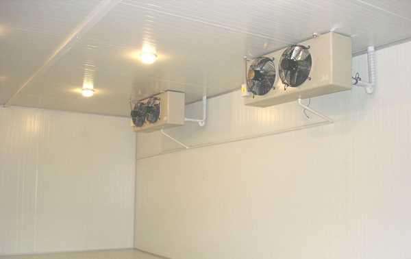 冷庫是否可以起到殺菌消毒的作用？