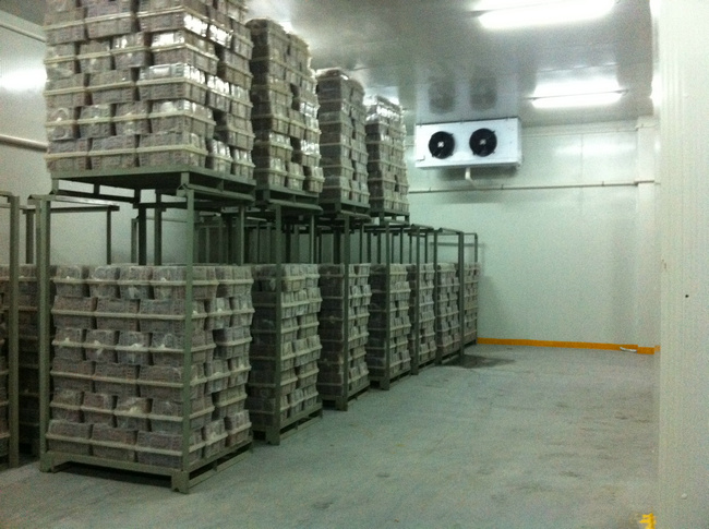 冷庫裝什么燈合適？冷庫燈和普通燈有有什么區(qū)別