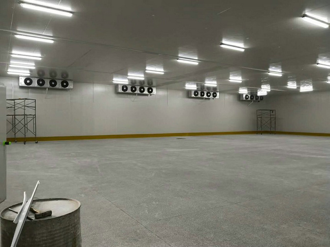 建造100平方冷凍庫需要多少錢？